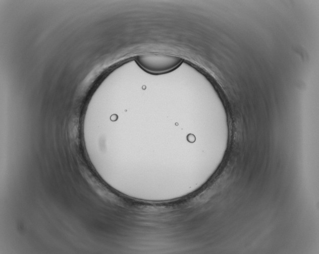 X0000114211499200911061434