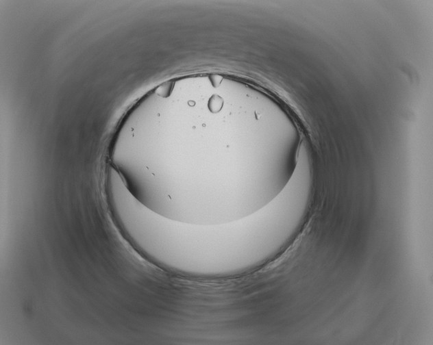 X0000114211500200911061434