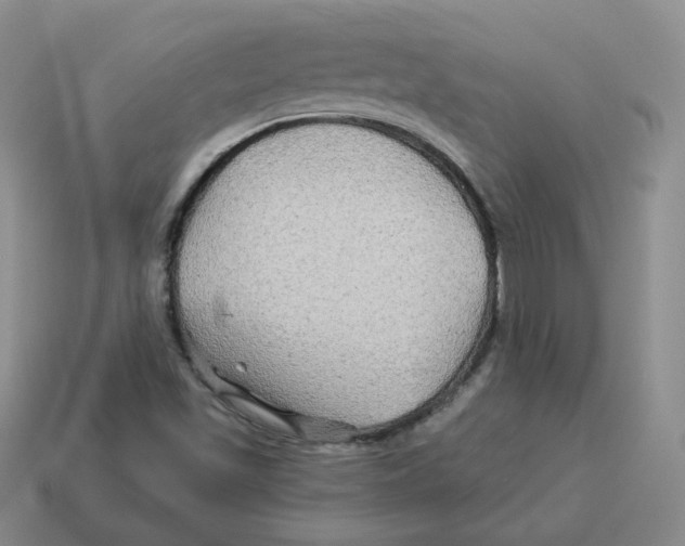 X0000114211501200911061434