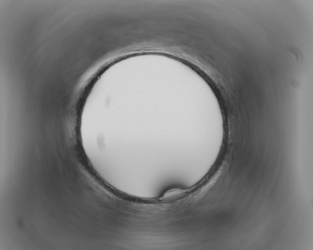 X0000114211502200911061434