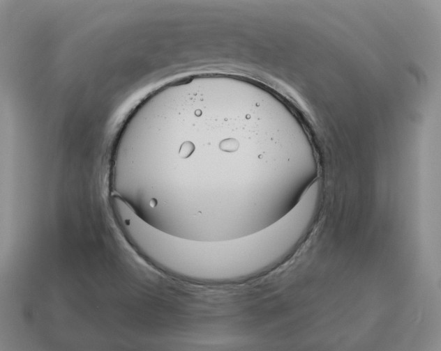 X0000114211504200911061434