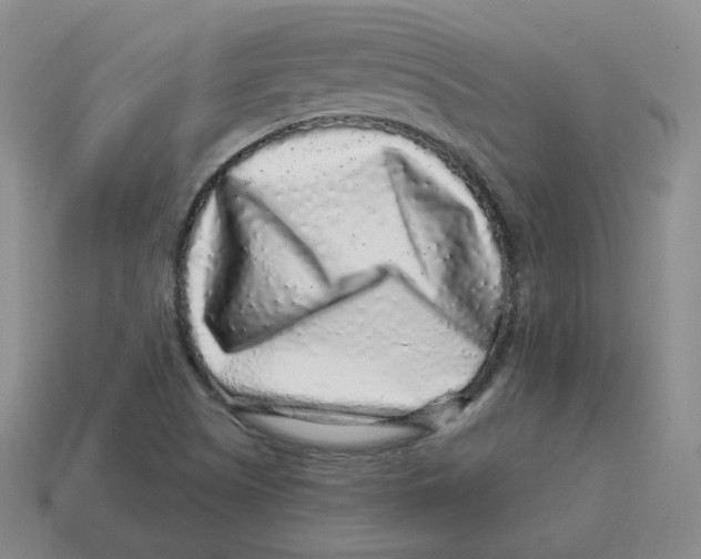 X0000114211505200911061434