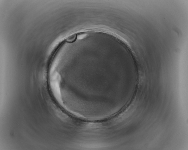 X0000114211506200911061434