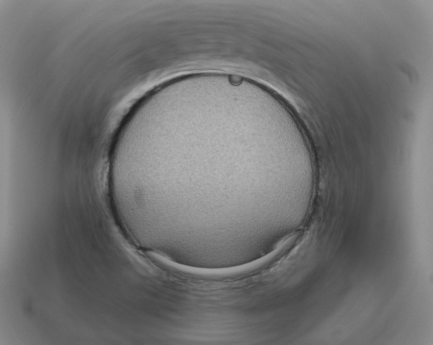 X0000114211507200911061434