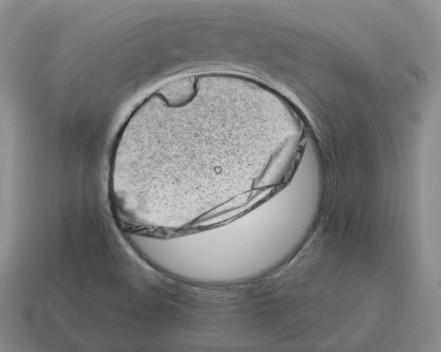 X0000114211508200911061434