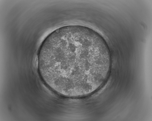 X0000114211509200911061434