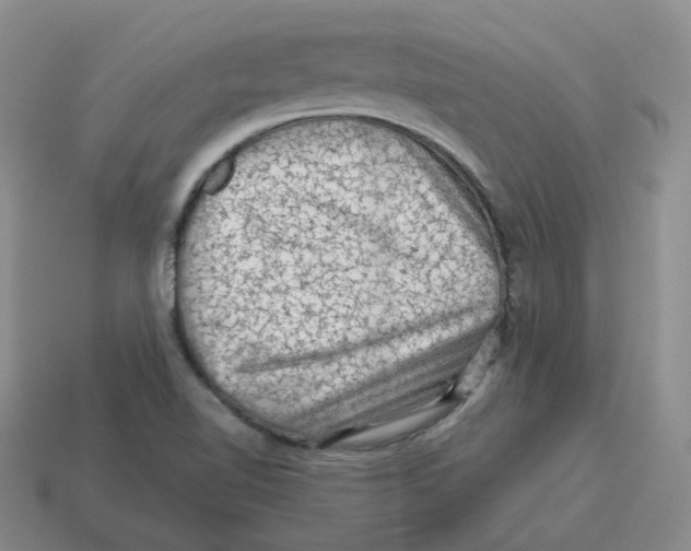 X0000114211510200911061434