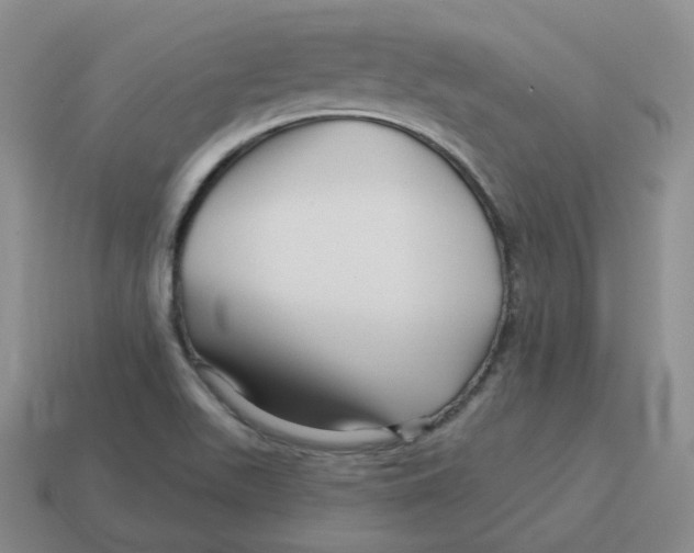 X0000114211511200911061434