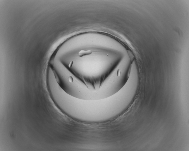 X0000114211512200911061434