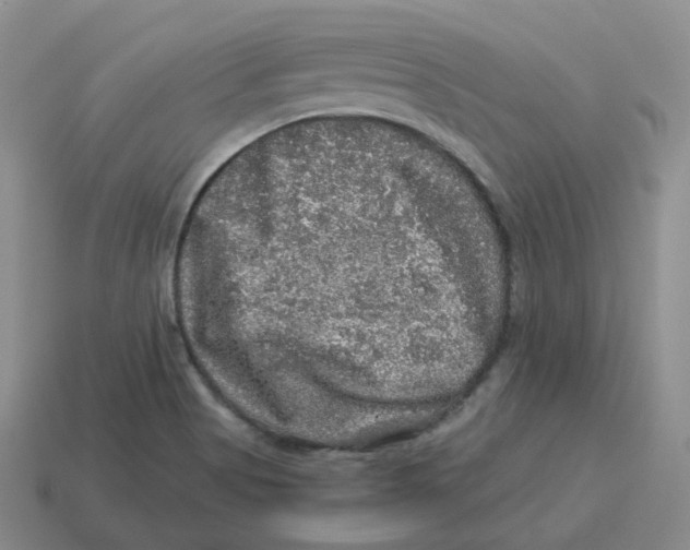 X0000114211513200911061434