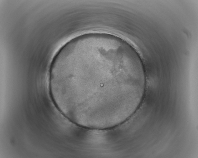 X0000114211514200911061434