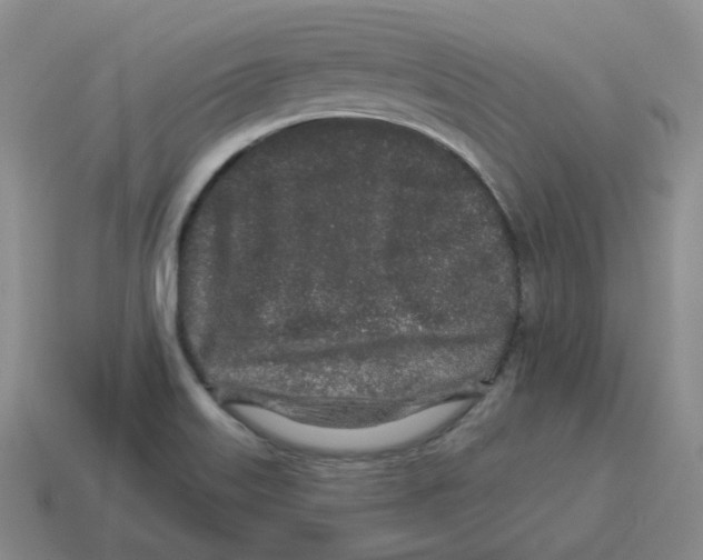 X0000114211515200911061434