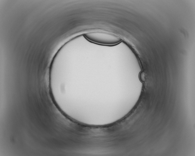 X0000114211516200911061434