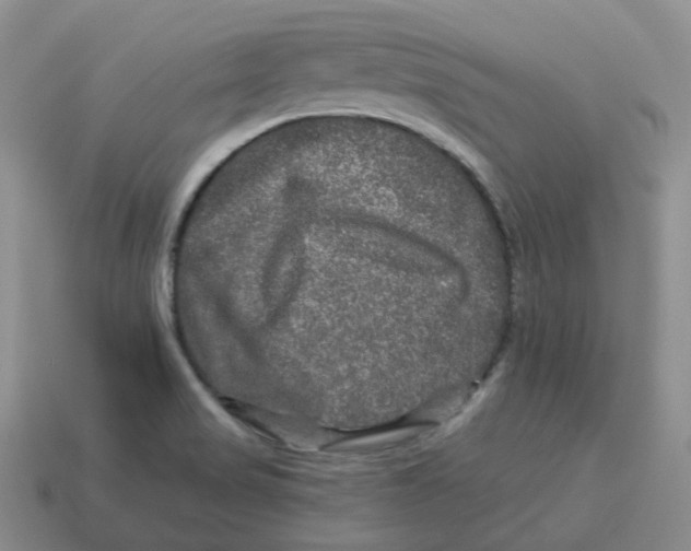 X0000114211517200911061434