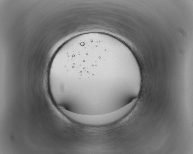 X0000114211518200911061434