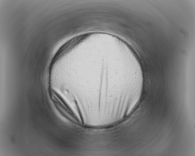 X0000114211519200911061434