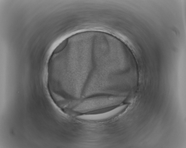 X0000114211520200911061434