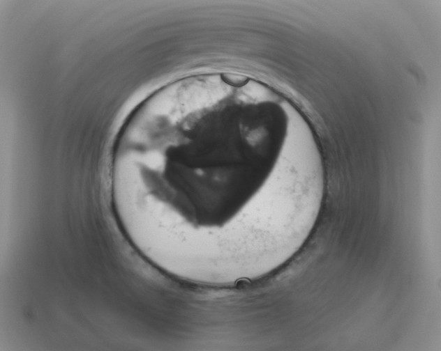 X0000114211522200911061434