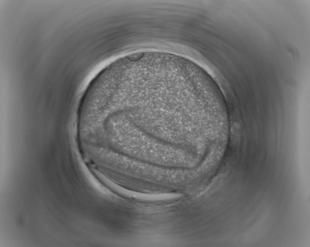 X0000114211523200911061434