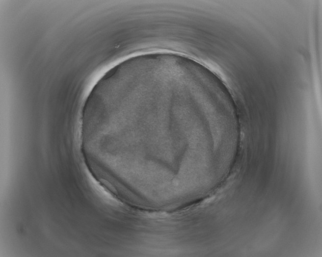 X0000114211524200911061434