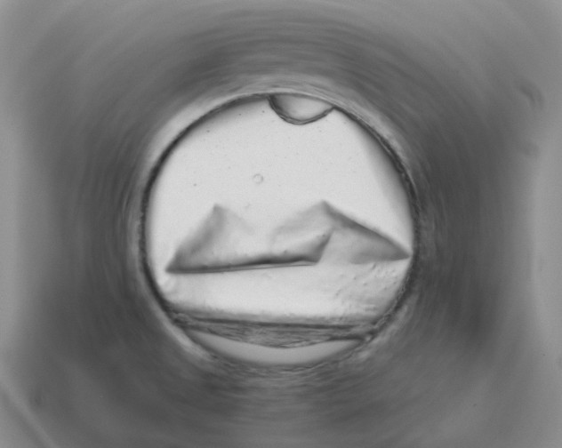 X0000114211525200911061434