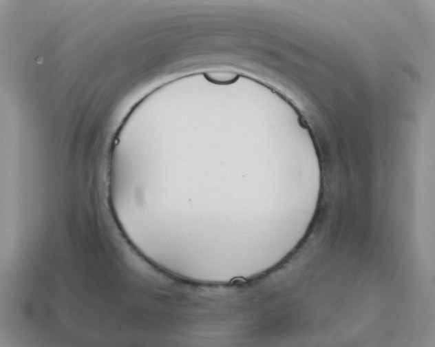 X0000114211526200911061434