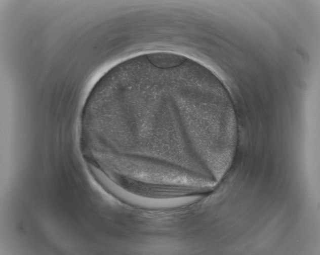 X0000114211527200911061434