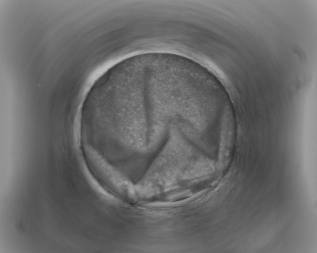 X0000114211528200911061434