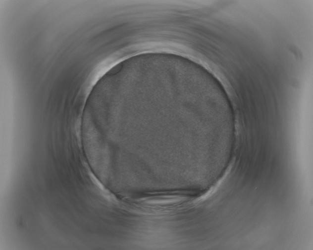 X0000114211529200911061434