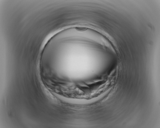 X0000114211530200911061434