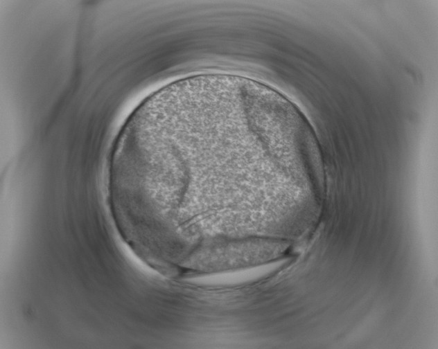 X0000114211531200911061434