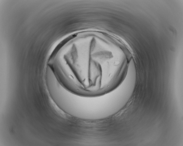 X0000114211532200911061434