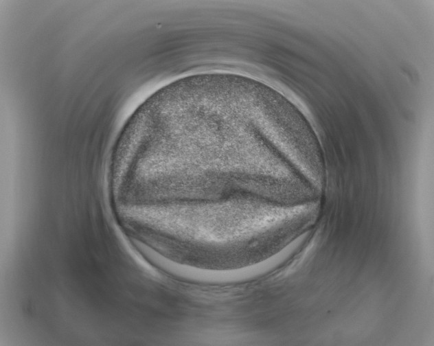 X0000114211533200911061434