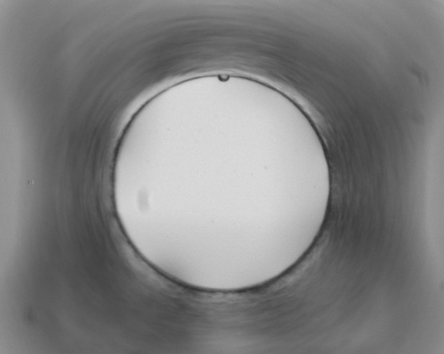 X0000114211534200911061435