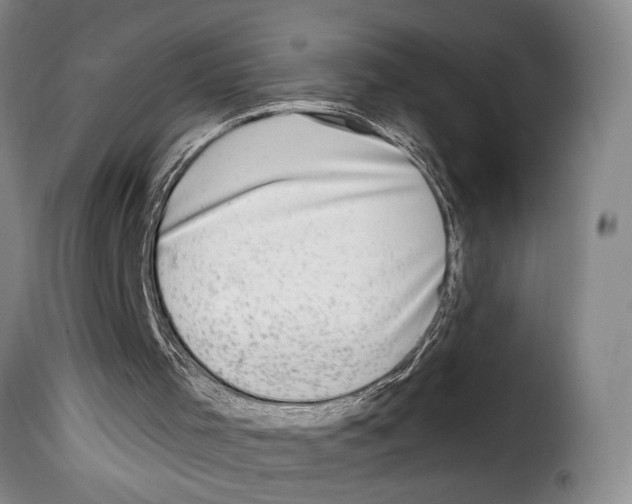 X0000114210001200911201033