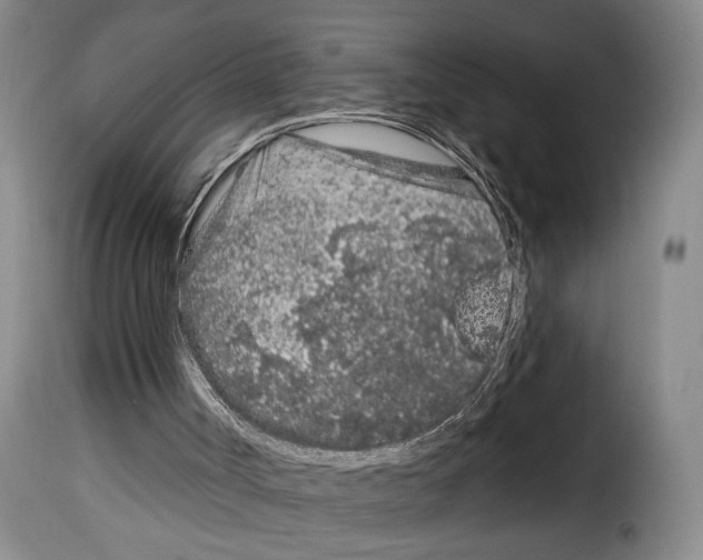 X0000114210002200911201033