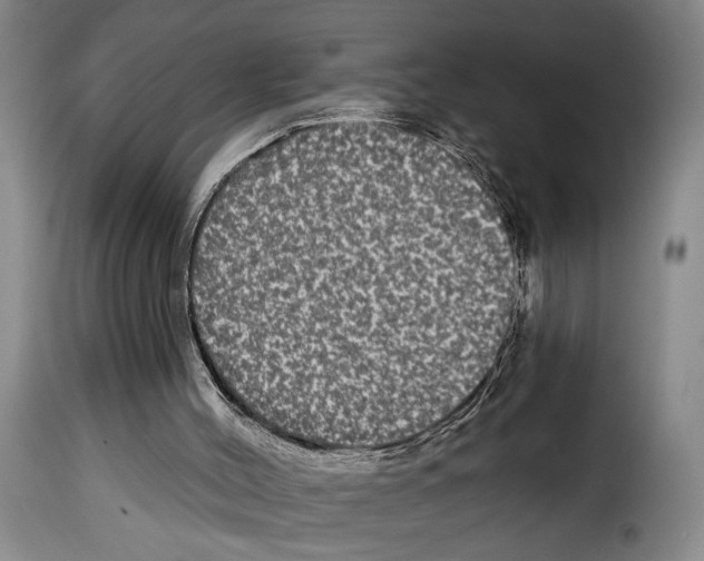 X0000114210004200911201033