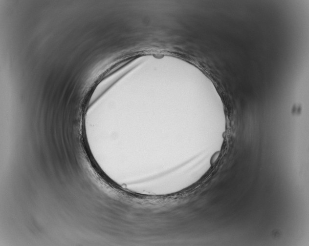 X0000114210005200911201033