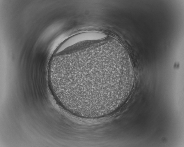 X0000114210006200911201033