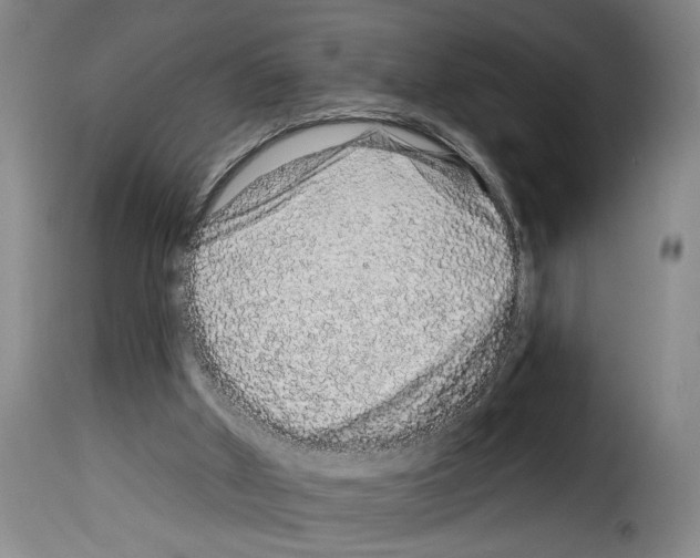 X0000114210010200911201033