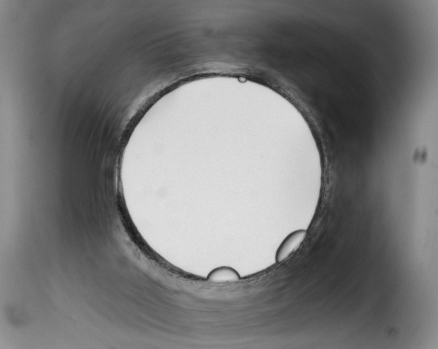 X0000114210011200911201033