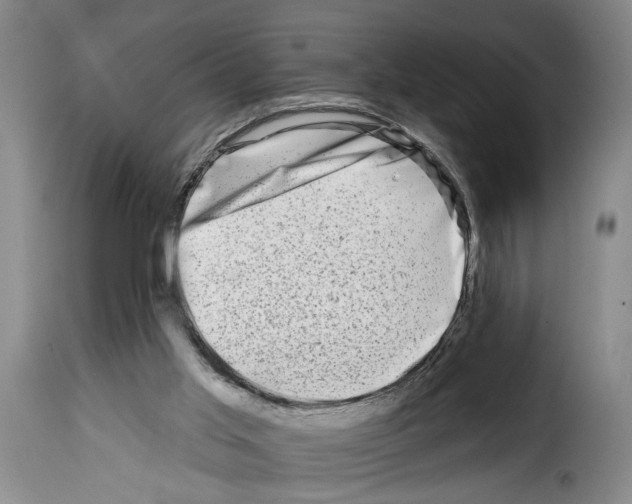 X0000114210013200911201033
