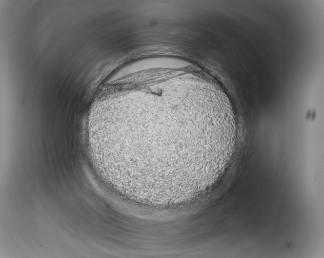 X0000114210014200911201033