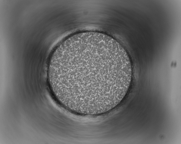 X0000114210016200911201033
