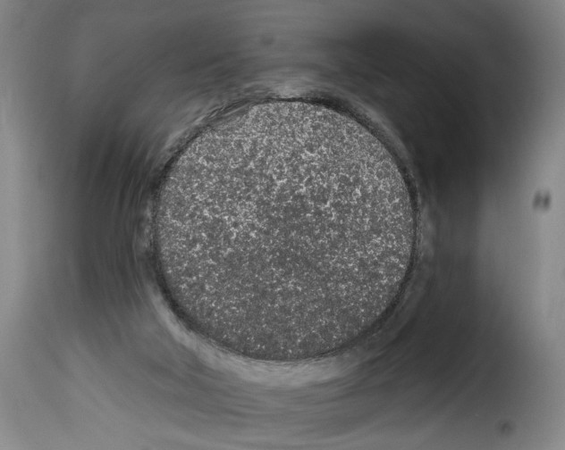 X0000114210018200911201033