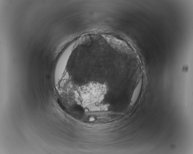 X0000114210019200911201033