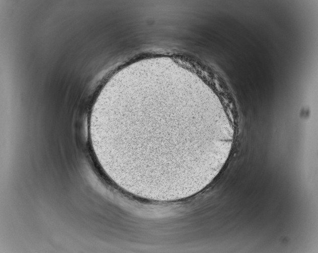 X0000114210020200911201033