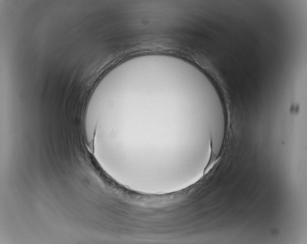 X0000114210021200911201033
