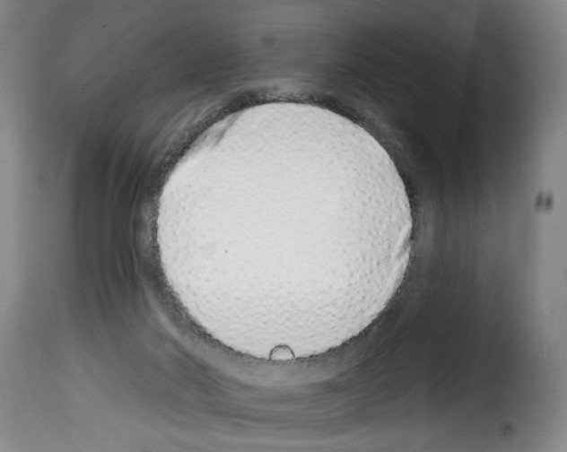 X0000114210022200911201033