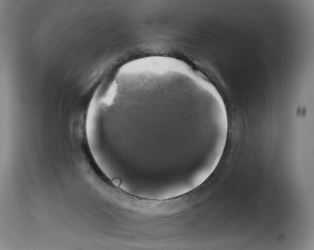X0000114210023200911201033